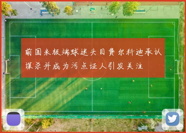 前国米极端球迷头目费尔科迪承认谋杀并成为污点证人引发关注